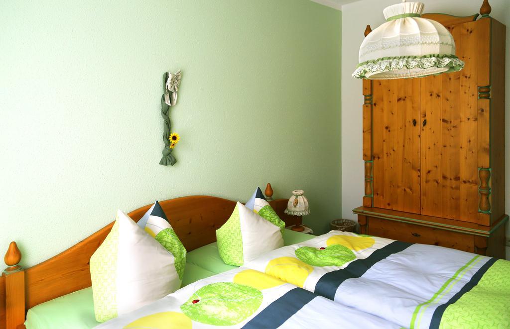 Gaststaette & Pension Waldquell Antonshohe エクステリア 写真