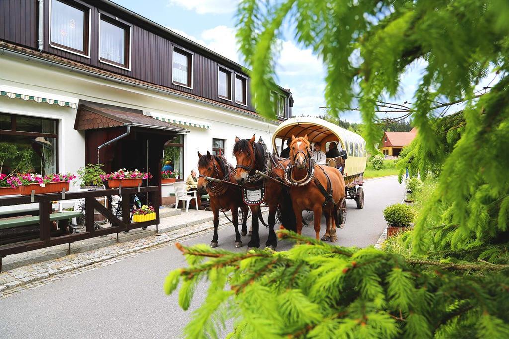 Gaststaette & Pension Waldquell Antonshohe エクステリア 写真
